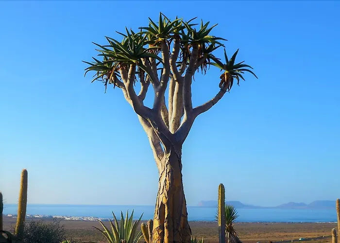 El Refugio Lägenhet Famara